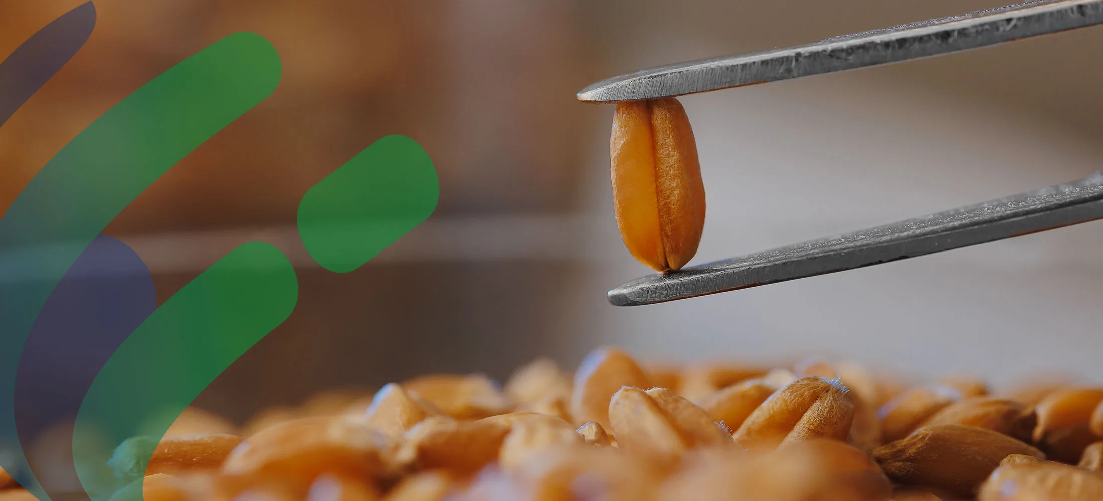 allergy-inner-page-banner-background common 14 allergens