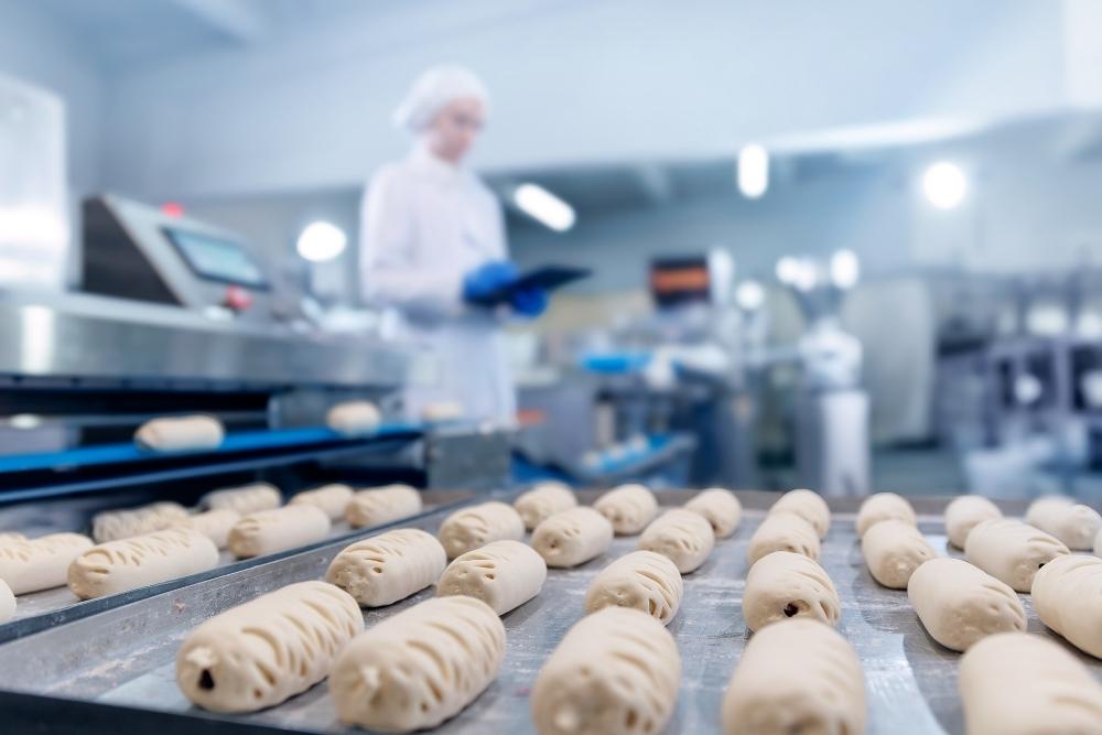 Consistency in food factory operations A food factory worker in a white coat, hairnet and blue gloves holds a clipboard while overseeing rows of unbaked dough rolls on a production line conveyor belt.