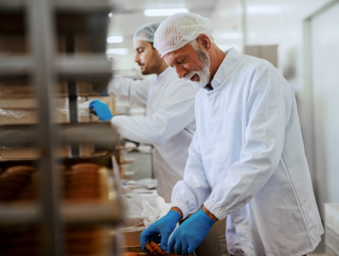 Food Factory Training: Food production workers in protective clothing packaging products on a factory line, demonstrating hands-on training and procedures.