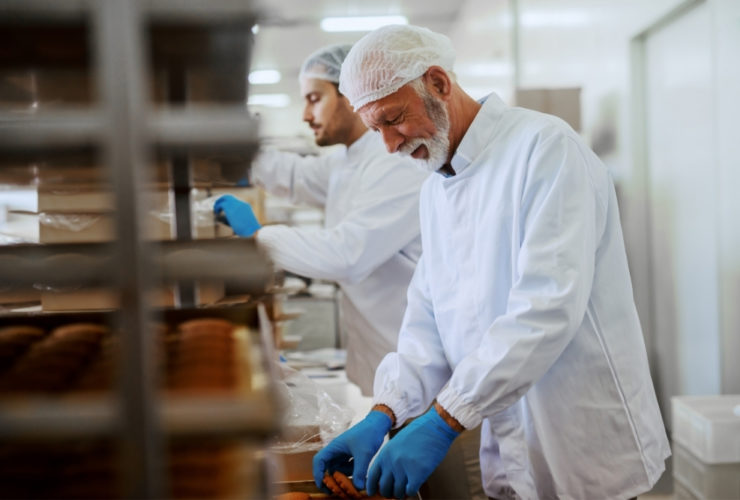 Food Factory Training: Food production workers in protective clothing packaging products on a factory line, demonstrating hands-on training and procedures.