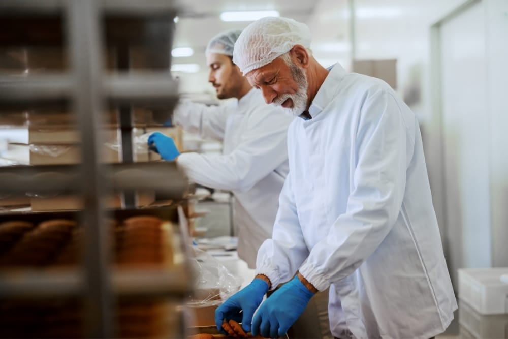 Food Factory Training: Food production workers in protective clothing packaging products on a factory line, demonstrating hands-on training and procedures.