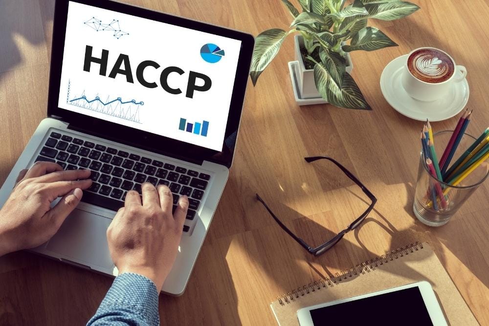 Why consistency matters in food production A person types on a laptop displaying the word "HACCP" alongside charts and graphs, at a wooden desk with a coffee, glasses, notepad, coloured pencils and a small plant.
