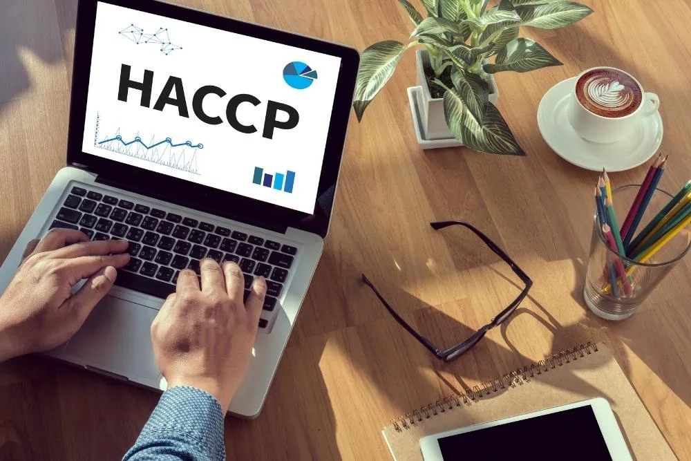 Why consistency matters in food production A person types on a laptop displaying the word "HACCP" alongside charts and graphs, at a wooden desk with a coffee, glasses, notepad, coloured pencils and a small plant.
