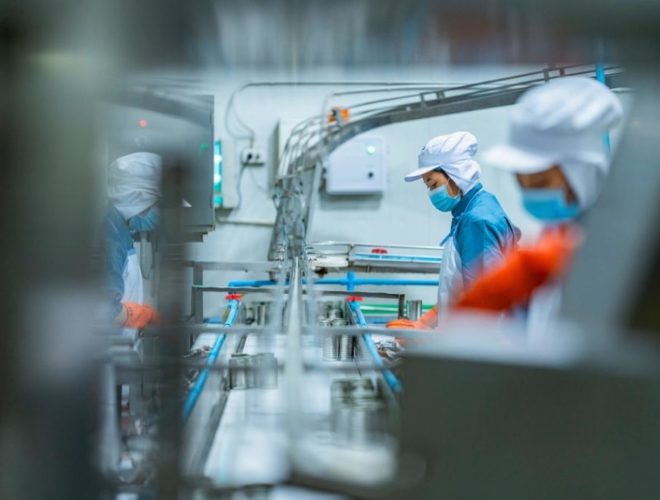 food factory changeover: Food factory workers in blue uniforms, white caps and face masks tending to a canned food production line, photographed through a gap in the machinery.