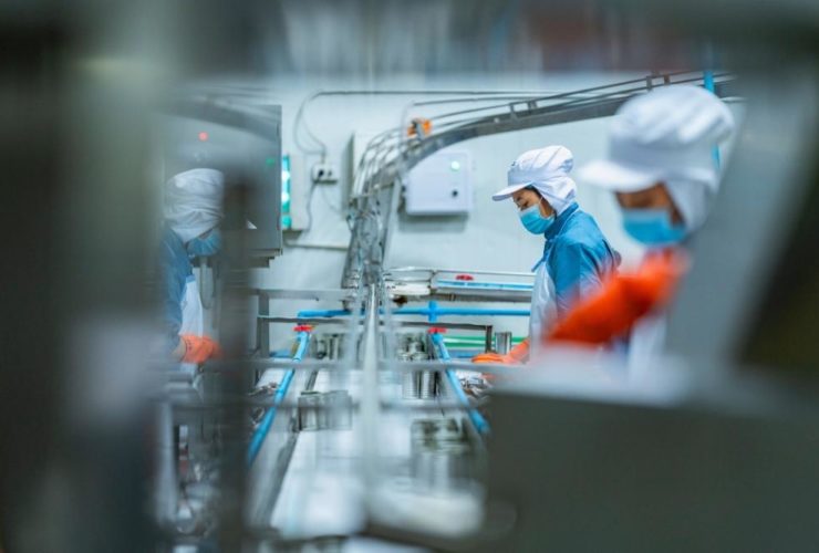 food factory changeover: Food factory workers in blue uniforms, white caps and face masks tending to a canned food production line, photographed through a gap in the machinery.
