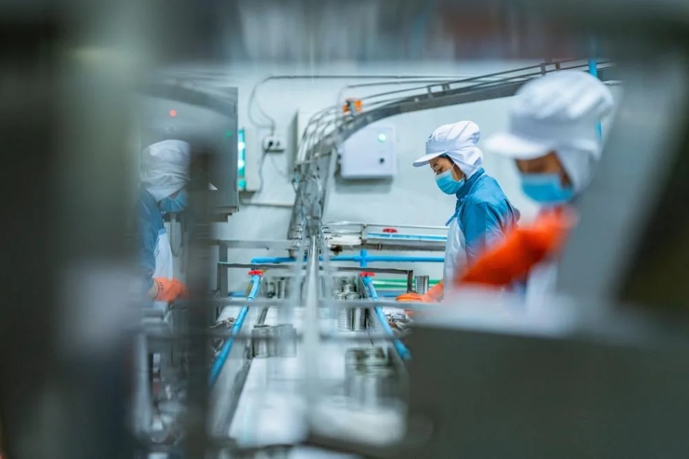 food factory changeover: Food factory workers in blue uniforms, white caps and face masks tending to a canned food production line, photographed through a gap in the machinery.