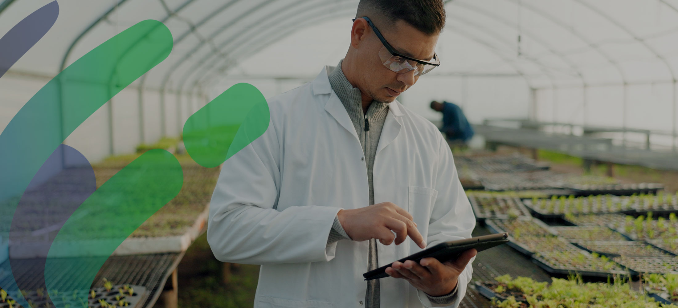 food safety assessor in a greenhouse