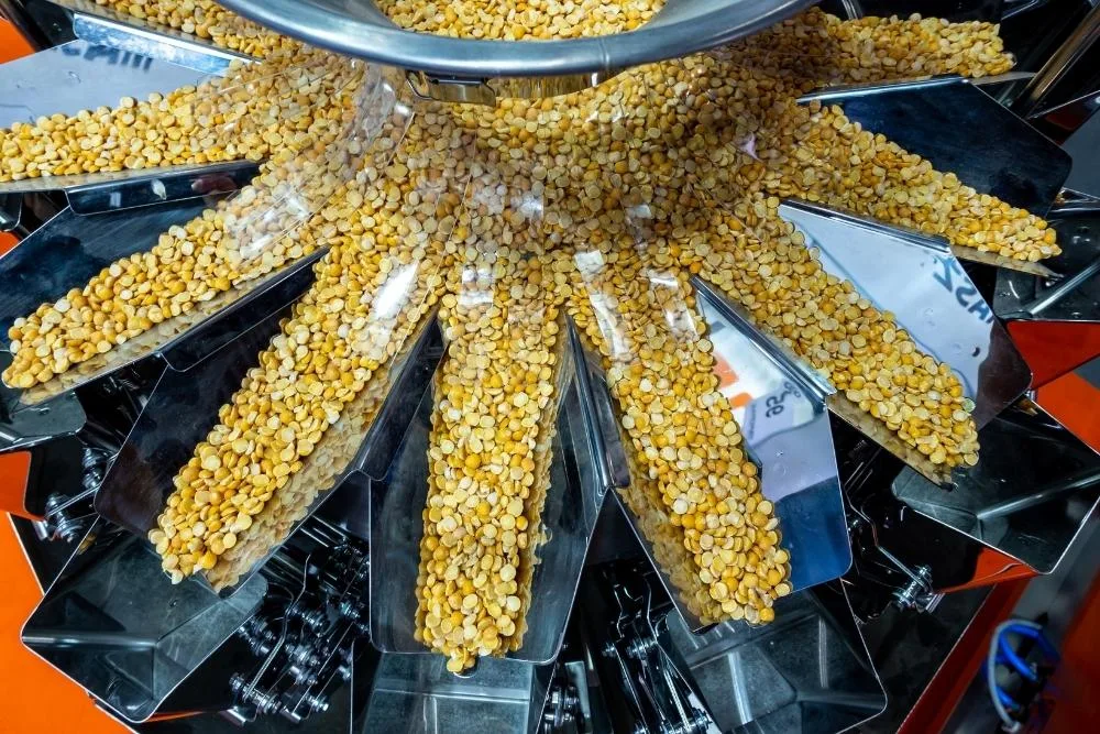Keeping skilled operators in food factories: A close-up overhead view of yellow split peas being distributed across the radial trays of a multihead weigher machine in a food production facility.